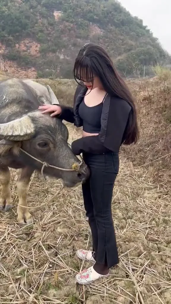 anh.moe